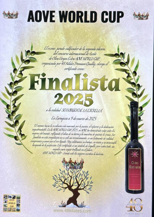 AOVE WORLD CUP 2025