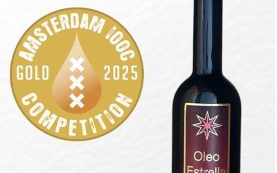 Oro en AMSTERDAM IOOC 2025