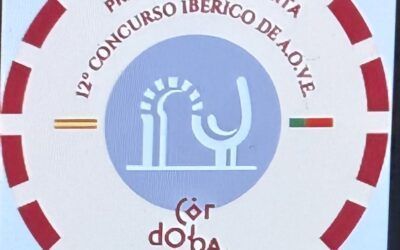 Oleo Estrella Premio Mezquita de Plata en XII Concurso AOVE 2025
